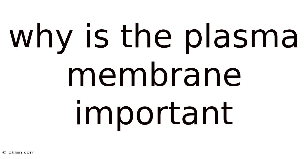 Why Is The Plasma Membrane Important