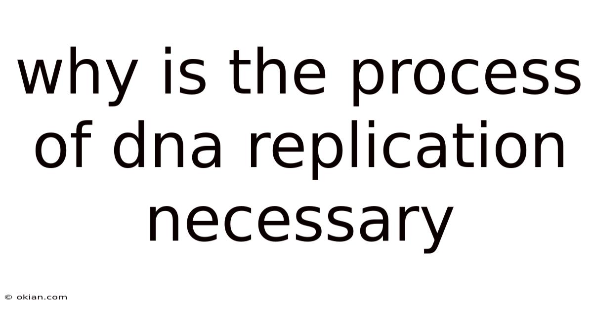 Why Is The Process Of Dna Replication Necessary