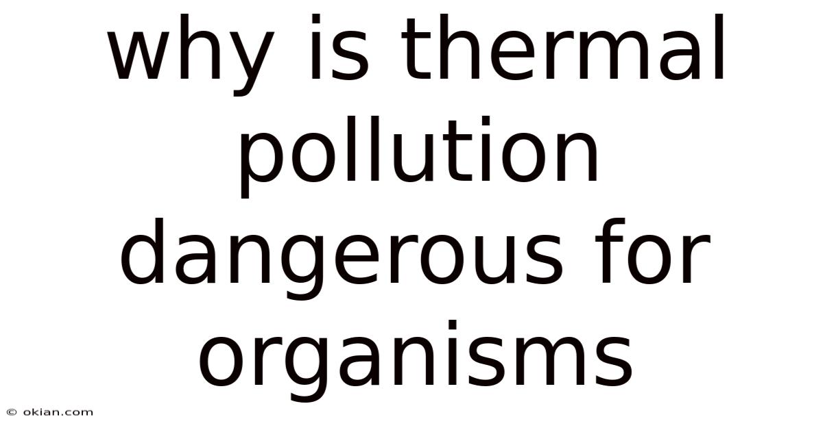 Why Is Thermal Pollution Dangerous For Organisms
