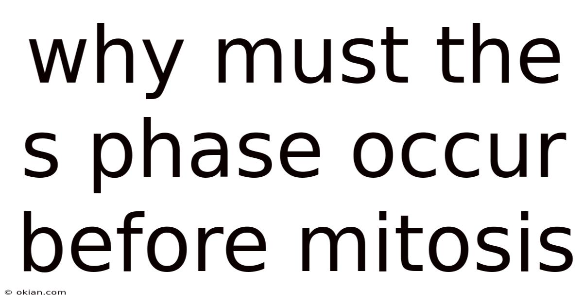Why Must The S Phase Occur Before Mitosis